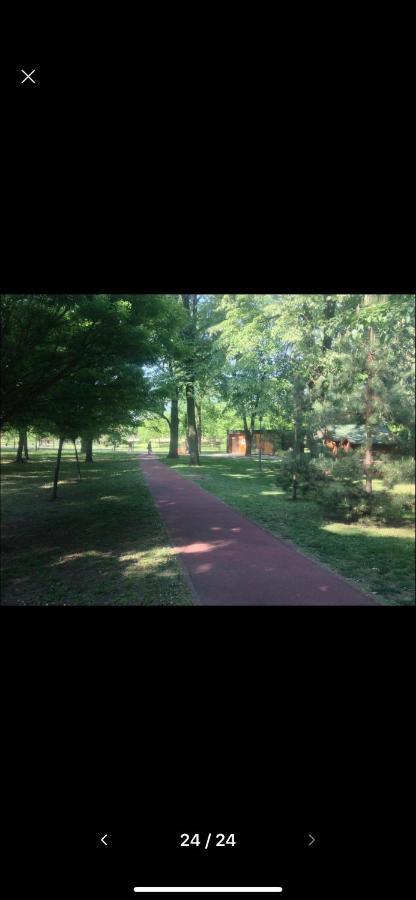 Royal Residence Apartmani Pančevo エクステリア 写真